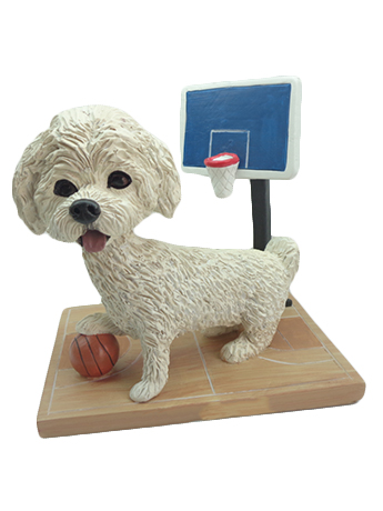 Dog on a Basketball Court