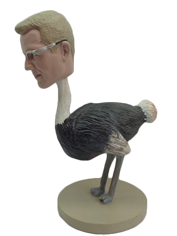 Ostrich Head